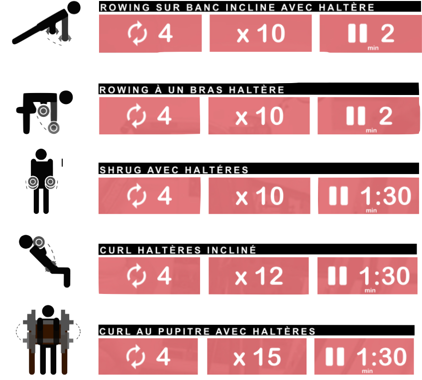 Musculation Progresser En 3 Leons